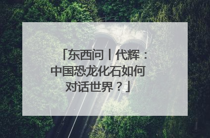 东西问丨代辉：中国恐龙化石如何对话世界？