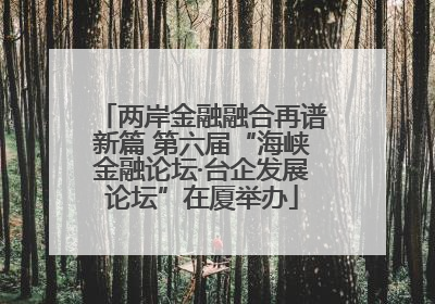 两岸金融融合再谱新篇 第六届“海峡金融论坛·台企发展论坛”在厦举办