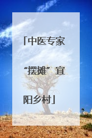 中医专家“摆摊”宜阳乡村