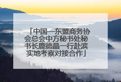 中国—东盟商务协会总会中方秘书处秘书长鹿德晶一行赴滨实地考察对接合作