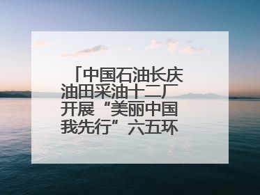 中国石油长庆油田采油十二厂开展“美丽中国我先行”六五环境日主题活动