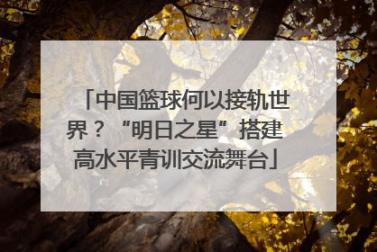 中国篮球何以接轨世界？“明日之星”搭建高水平青训交流舞台