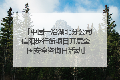 中国一冶湖北分公司信阳步行街项目开展全国安全咨询日活动