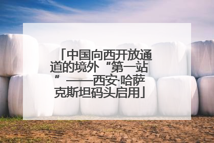 中国向西开放通道的境外“第一站”——西安·哈萨克斯坦码头启用
