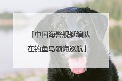 中国海警舰艇编队在钓鱼岛领海巡航