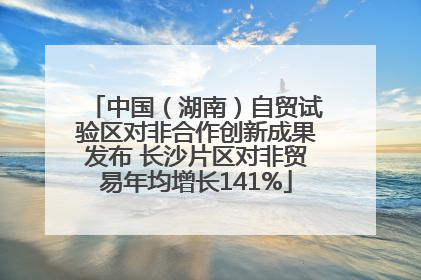 中国（湖南）自贸试验区对非合作创新成果发布 长沙片区对非贸易年均增长141%