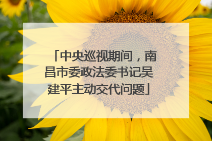 中央巡视期间，南昌市委政法委书记吴建平主动交代问题