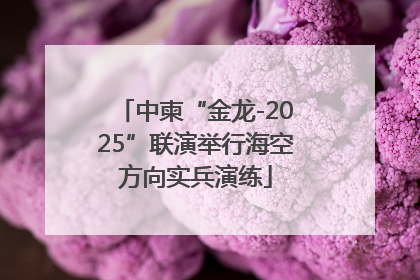 中柬“金龙-2025”联演举行海空方向实兵演练