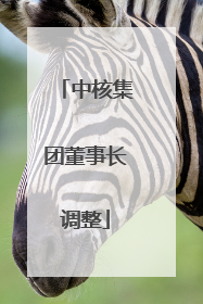 中核集团董事长调整
