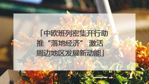 中欧班列密集开行助推“落地经济” 激活周边地区发展新动能