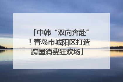 中韩“双向奔赴”！青岛市城阳区打造跨国消费狂欢场
