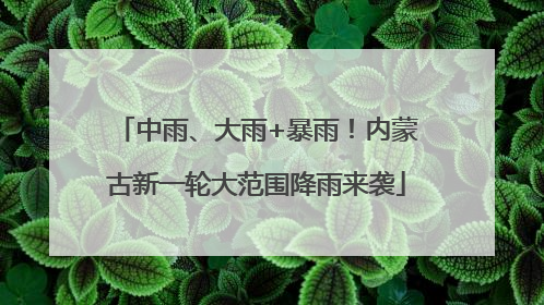 中雨、大雨+暴雨！内蒙古新一轮大范围降雨来袭