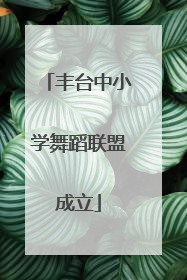 丰台中小学舞蹈联盟成立