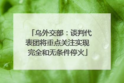 乌外交部：谈判代表团将重点关注实现完全和无条件停火