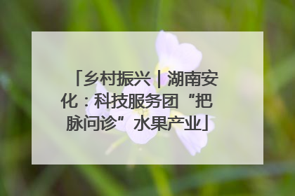 乡村振兴｜湖南安化：科技服务团“把脉问诊”水果产业