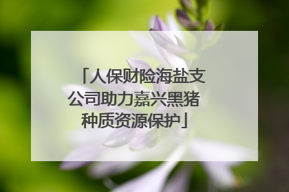 人保财险海盐支公司助力嘉兴黑猪种质资源保护