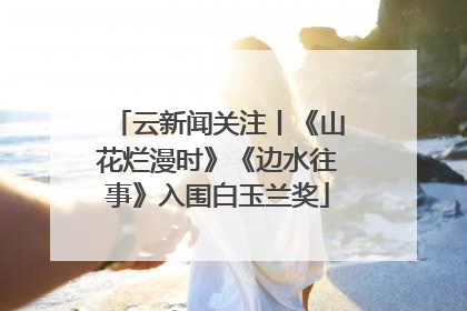 云新闻关注丨《山花烂漫时》《边水往事》入围白玉兰奖