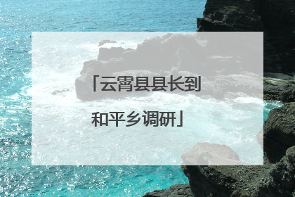云霄县县长到和平乡调研