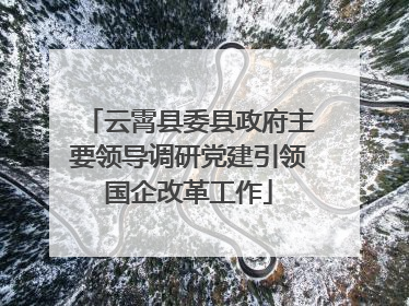云霄县委县政府主要领导调研党建引领国企改革工作