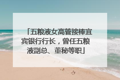 五粮液女高管接棒宜宾银行行长，曾任五粮液副总、董秘等职