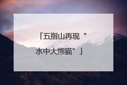 五指山再现“水中大熊猫”