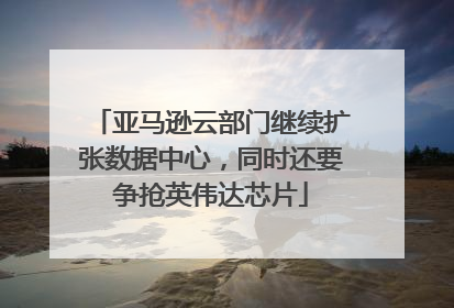 亚马逊云部门继续扩张数据中心，同时还要争抢英伟达芯片