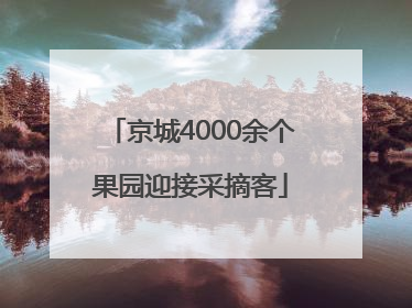 京城4000余个果园迎接采摘客