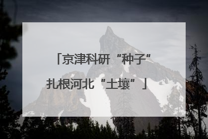 京津科研“种子”扎根河北“土壤”