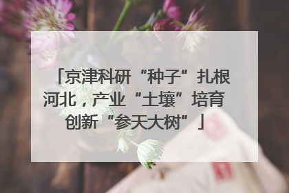 京津科研“种子”扎根河北，产业“土壤”培育创新“参天大树”