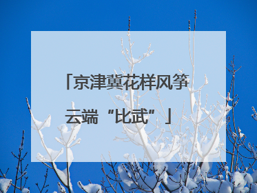 京津冀花样风筝云端“比武”