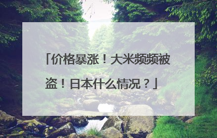 价格暴涨!大米频频被盗!日本什么情况?