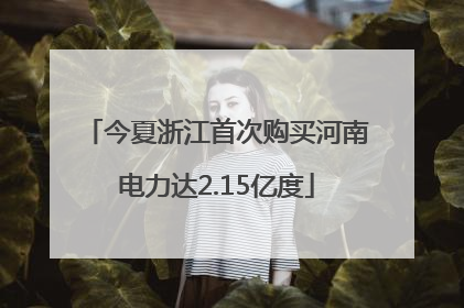 今夏浙江首次购买河南电力达2.15亿度