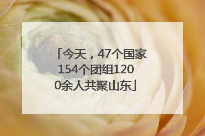 今天，47个国家154个团组1200余人共聚山东