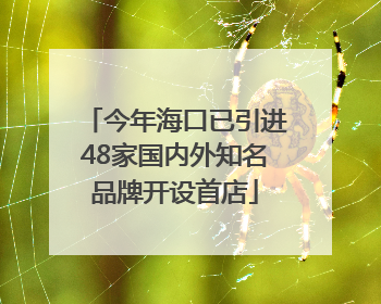 今年海口已引进48家国内外知名品牌开设首店