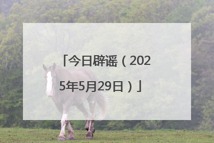 今日辟谣（2025年5月29日）