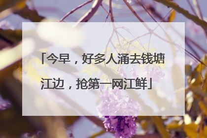 今早，好多人涌去钱塘江边，抢第一网江鲜