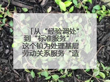 从“经验调处”到“标准服务”，这个镇为处理基层劳动关系服务“造标尺”