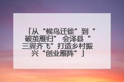 从“候鸟迁徙”到“破茧雁归” 会泽县“三翼齐飞”打造乡村振兴“创业雁阵”
