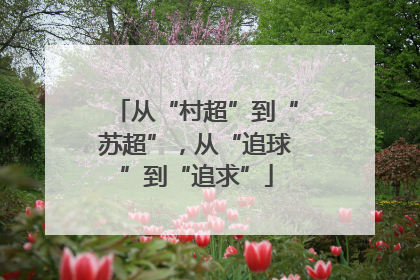 从“村超”到“苏超”，从“追球”到“追求”