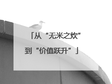 从“无米之炊”到“价值跃升”