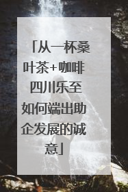 从一杯桑叶茶+咖啡 四川乐至如何端出助企发展的诚意