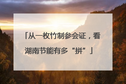 从一枚竹制参会证，看湖南节能有多“拼”