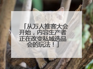 从万人推客大会开始，内容生产者正在改变私域选品会的玩法！