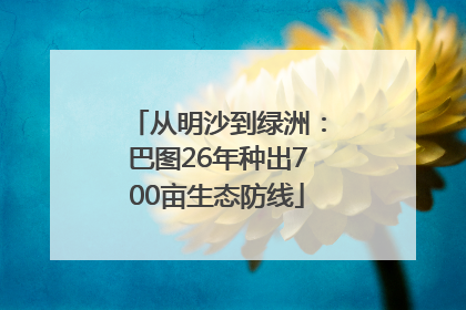 从明沙到绿洲：巴图26年种出700亩生态防线