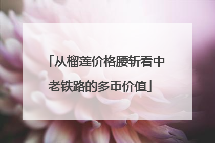 从榴莲价格腰斩看中老铁路的多重价值