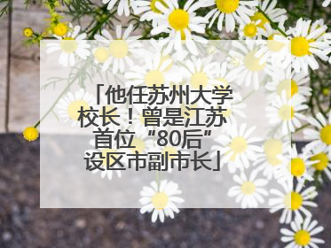 他任苏州大学校长！曾是江苏首位“80后”设区市副市长