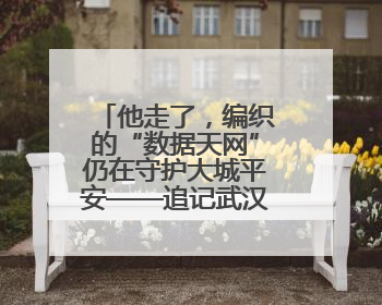他走了，编织的“数据天网”仍在守护大城平安——追记武汉市公安局因公牺牲民警万松