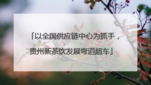 以全国供应链中心为抓手，贵州新茶饮发展弯道超车
