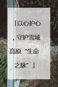 以心护心，守护雪域高原“生命之脉”