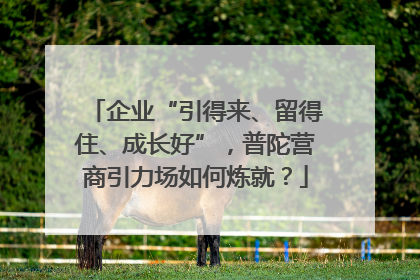 企业“引得来、留得住、成长好”，普陀营商引力场如何炼就？